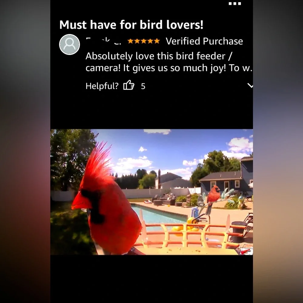 Birdkiss Smart Bird Feeder - NIB